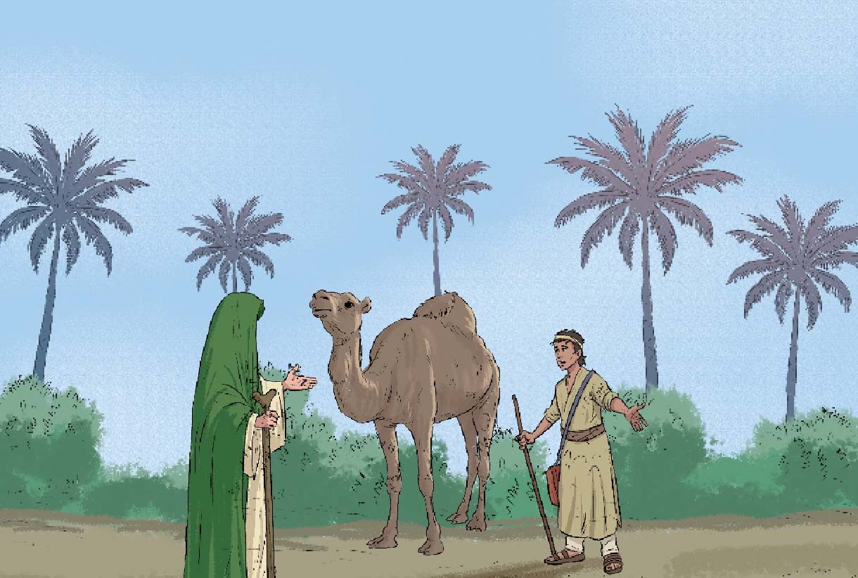 الجملُ الحزين