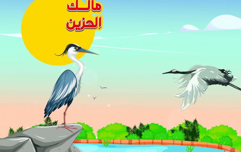 طائر مالك الحزين