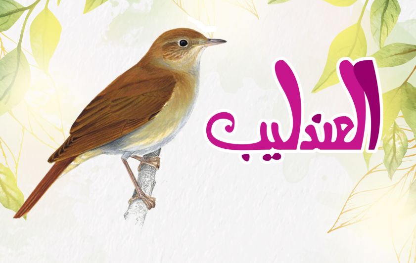 طائر العندليب