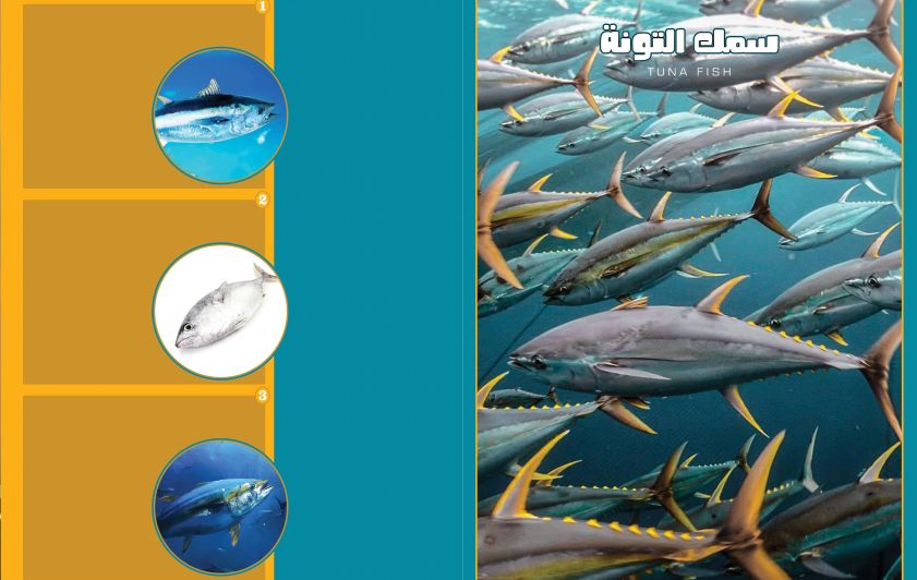 سمك التونة وأغرب أنواعه