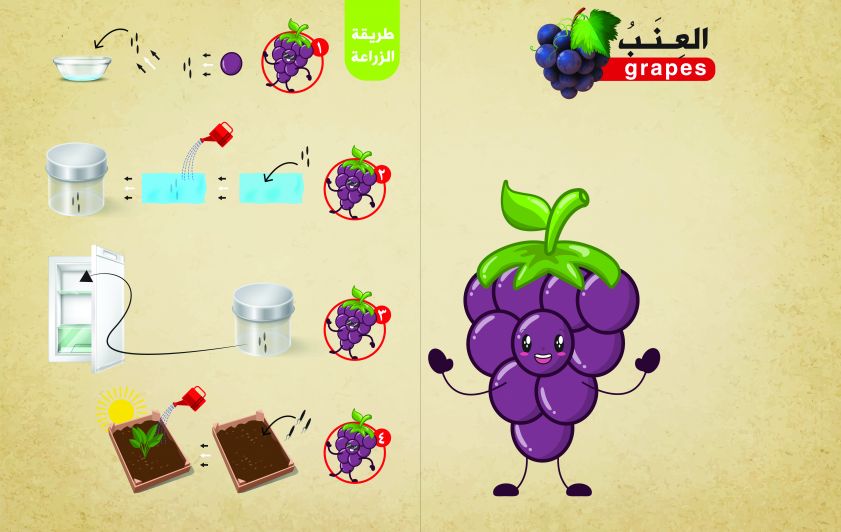 فوائد العــنب وطريقة زراعته