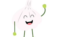 فوائد الثوم وطريقة زراعته