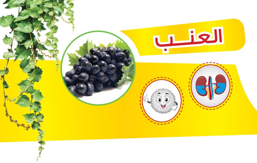 اسرار وخفايا ( العنب)