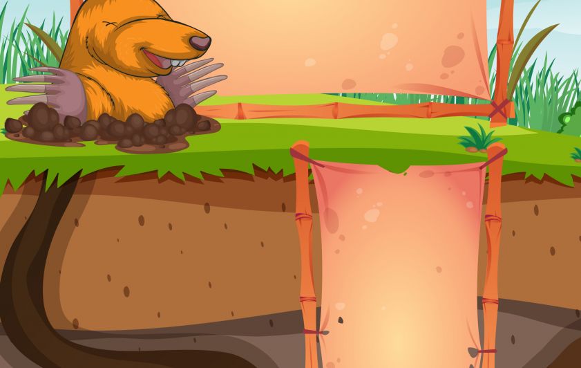 ماذا نتعلم من ( الخلد الذهبي )؟