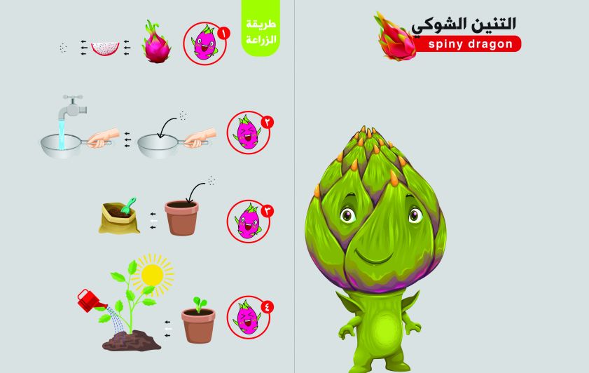 التنين الشوكي